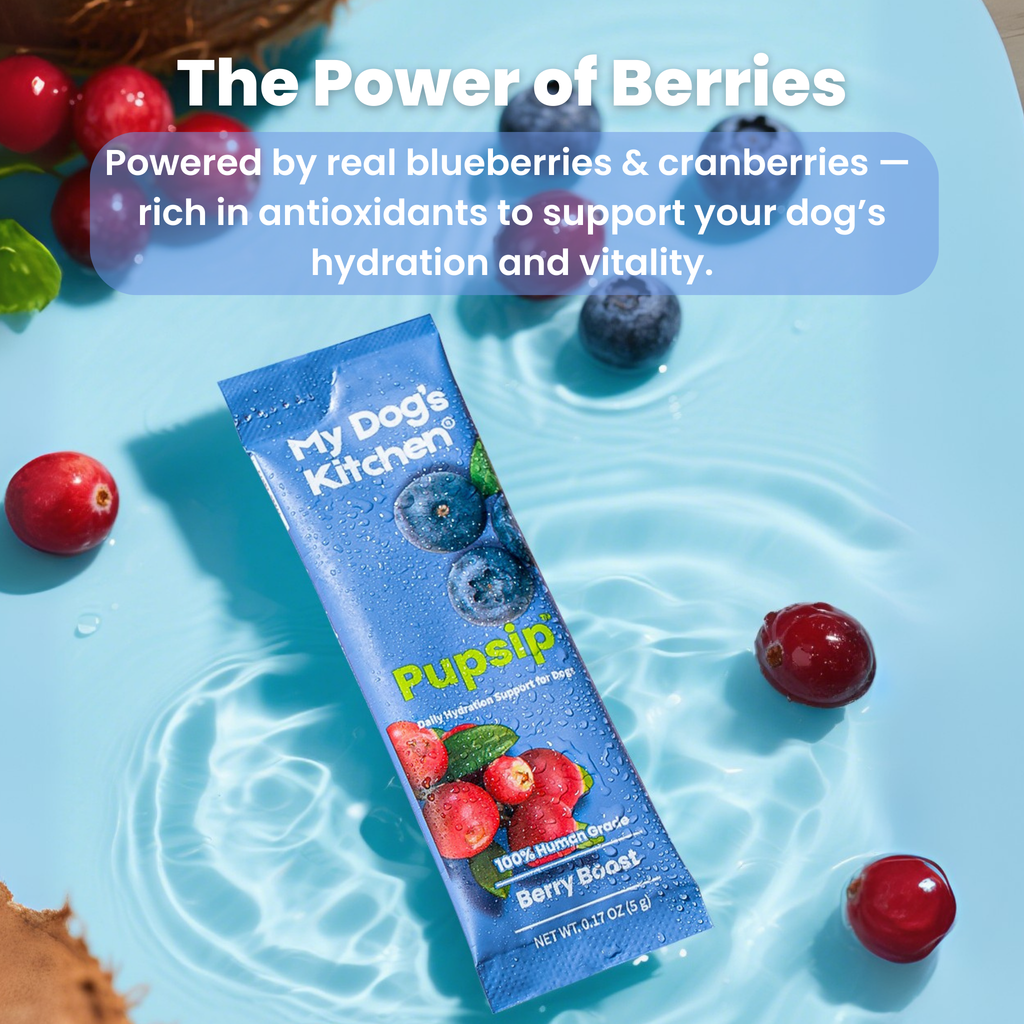 PupSip:  Berry Boost All Natural Hydration mix for dogs – 12 sticks
