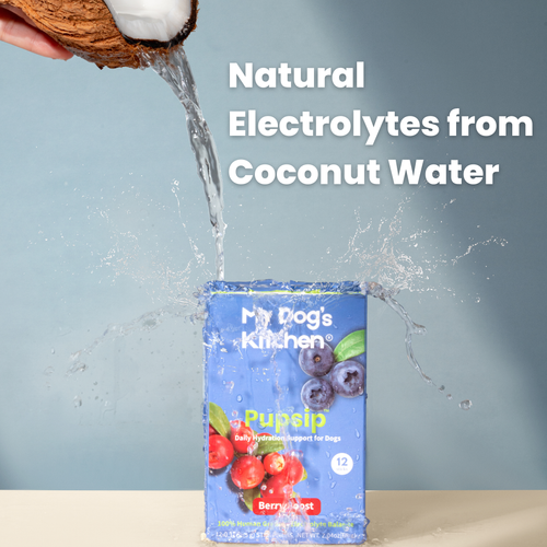 PupSip:  Berry Boost All Natural Hydration mix for dogs – 12 sticks
