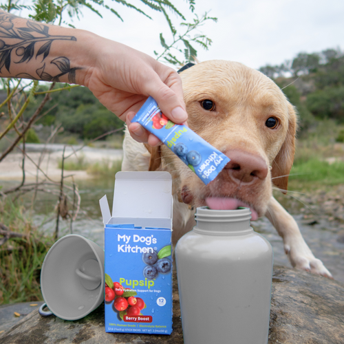 PupSip:  Berry Boost All Natural Hydration Mix for dogs – 12 sticks