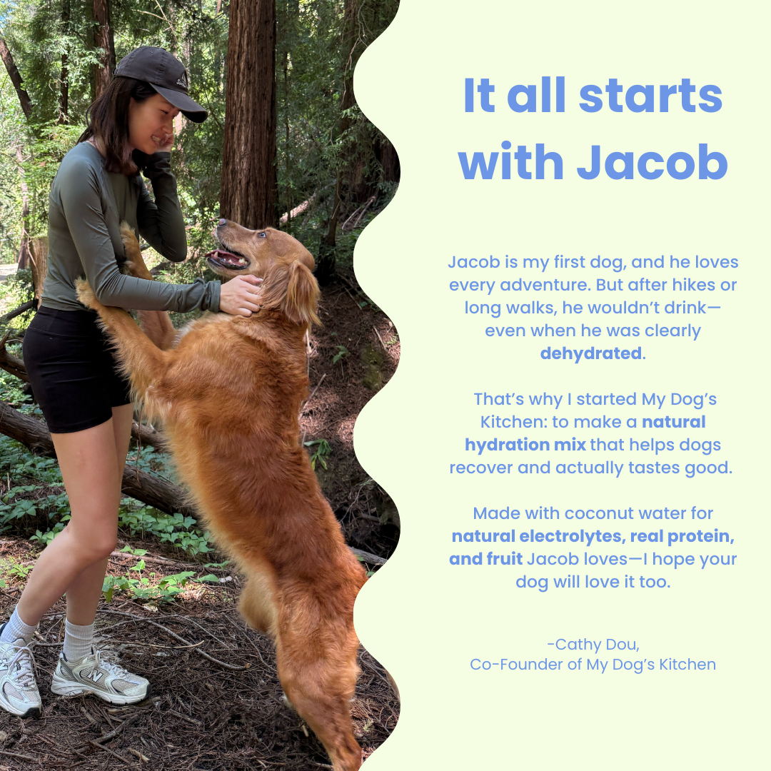 PupSip:  Berry Boost All Natural Hydration mix for dogs – 12 sticks